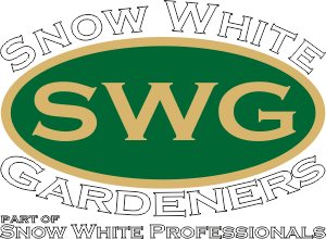 Snow White Gardeners